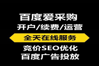 实战技巧：竞价推广案例解析与优化策略